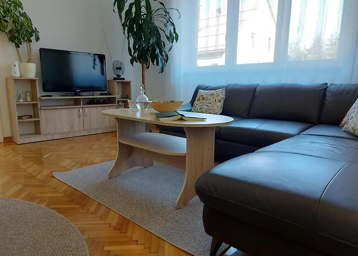 Tince Apartment Delnice